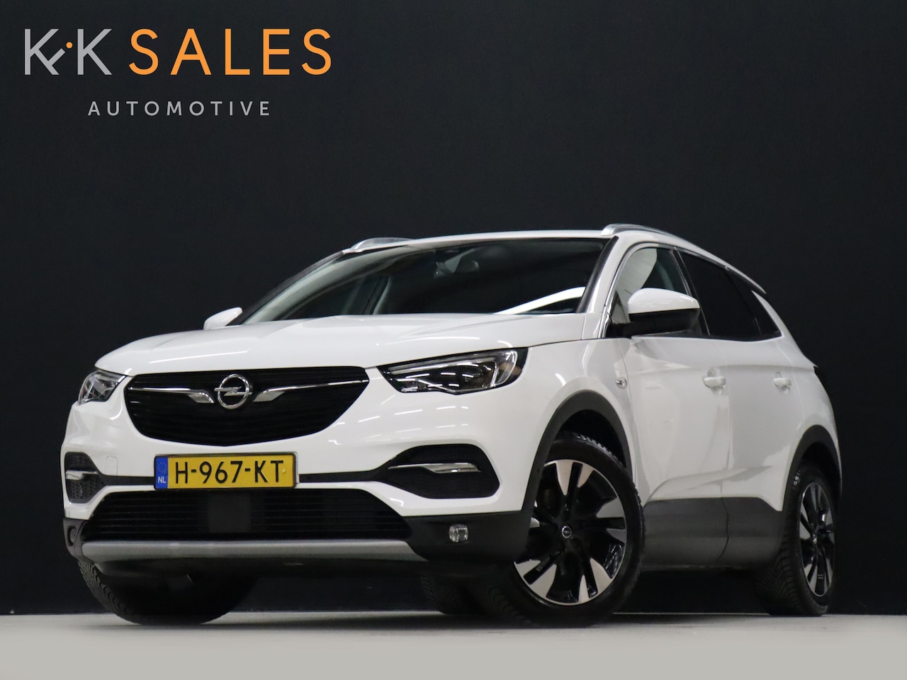 Opel Grandland X - 1.2 Turbo Business Executive [TREKHAAK, APPLE CARPLAY, ANDROID, ELEK. KOFFERKLEP, PARKEERS - AutoWereld.nl