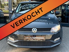 Volkswagen Polo - 1.0 Bluemotion / Nardo / 2017 / Weinig KM