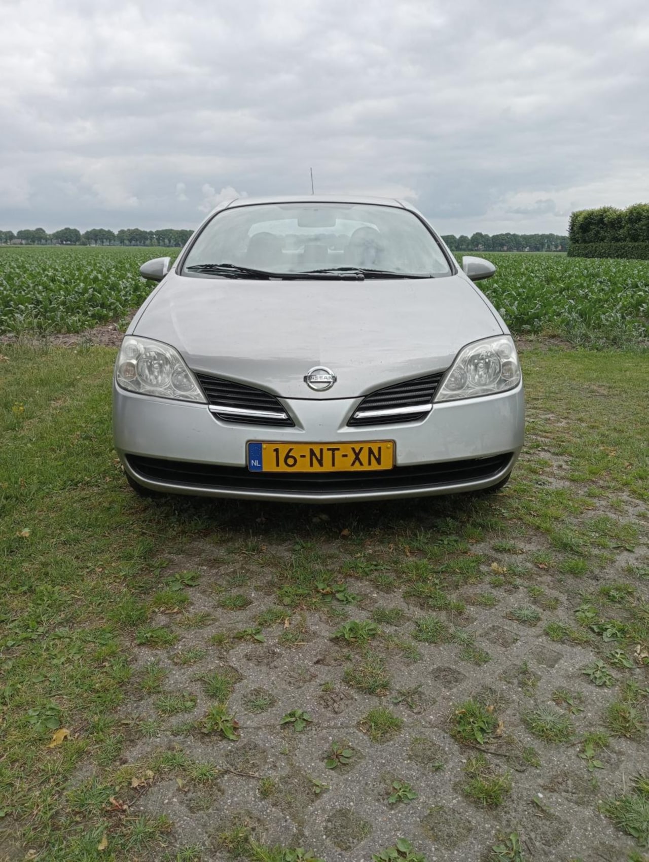 Nissan Primera - 1.8 Visia 1.8 Visia - AutoWereld.nl
