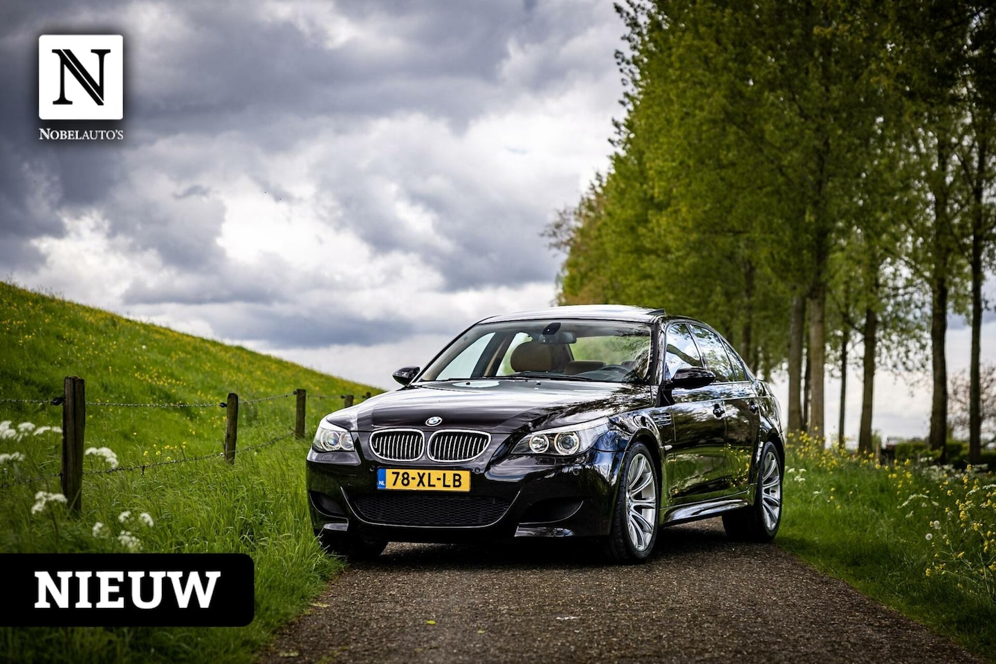 BMW M5 - 5-serie - AutoWereld.nl