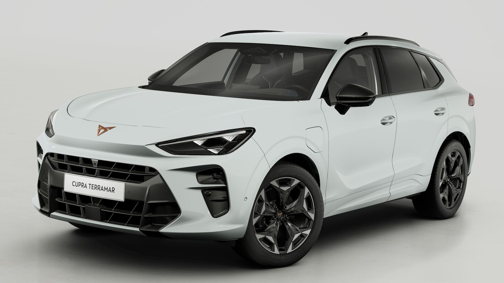 CUPRA Terramar - 1.5 TSI e-Hybrid 272 6DSG VZ Performance | 360 graden camera | Achteruitrijcamera | Draadl - AutoWereld.nl