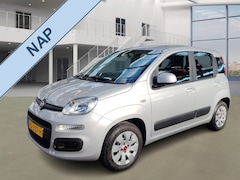 Fiat Panda - 1.2 Edizione Cool