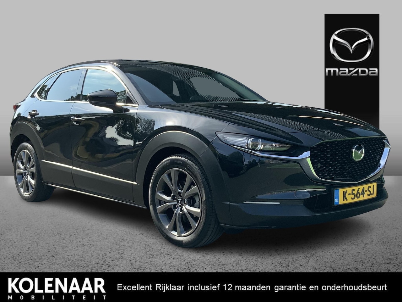 Mazda CX-30 - 2.0 e-Sky-X Luxury /Trekhaak/Leder/Achteruitrijcamera/Adaptive Cruise/Head Up Display - AutoWereld.nl