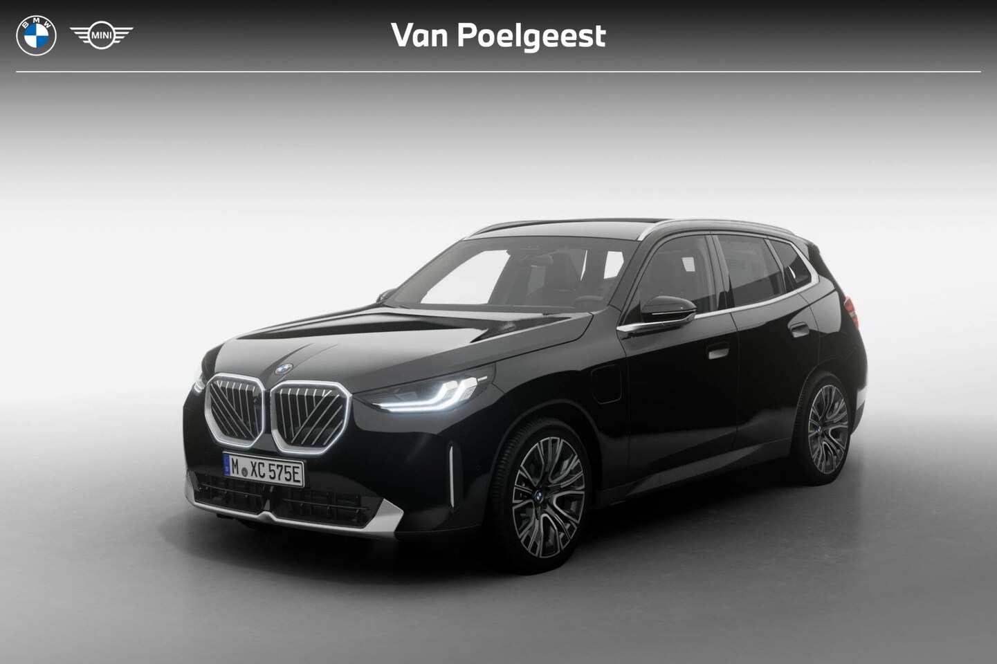 BMW X3 - 30e xDrive | Professional Pack | Comfort Pack | Trekhaak - AutoWereld.nl