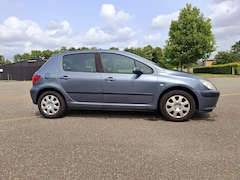 Peugeot 307 - 1.6-16V XS