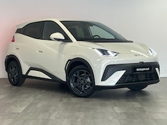 BYD Dolphin Surf - Comfort 43 kWh