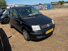 Fiat Panda - 1.2 Dynamic