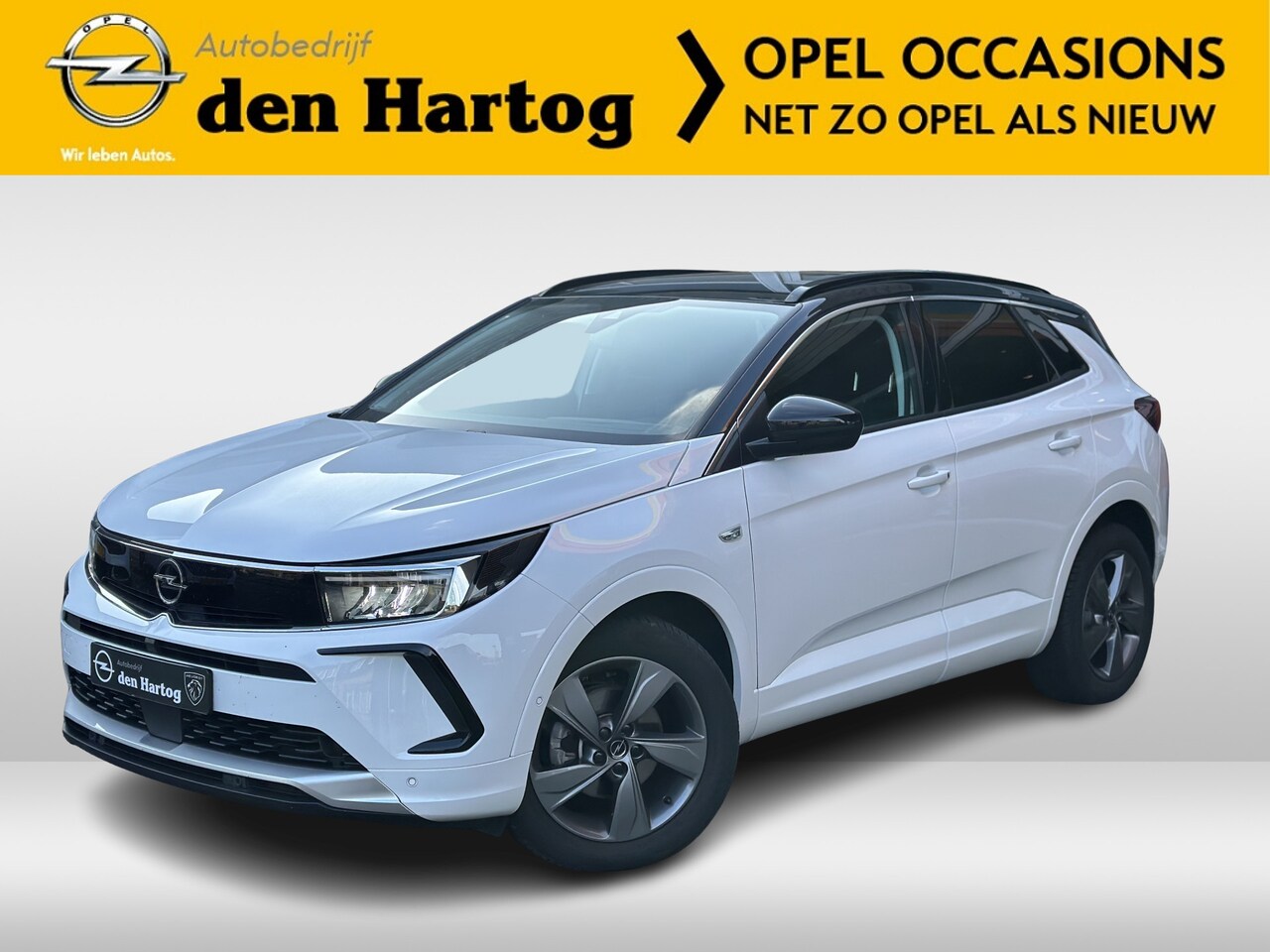 Opel Grandland - 1.2 Turbo Elegance Automaat Camera/Stoel en stuurverwarming/Zelf inparkeren. - AutoWereld.nl