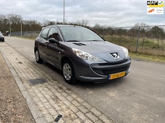 Peugeot 206 - 1.1 XR Puntgave dealer onderhouden 206+