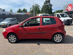 Fiat Punto - 1.2 Young, APK: 11-11-2025, Rijdt Goed, 895,