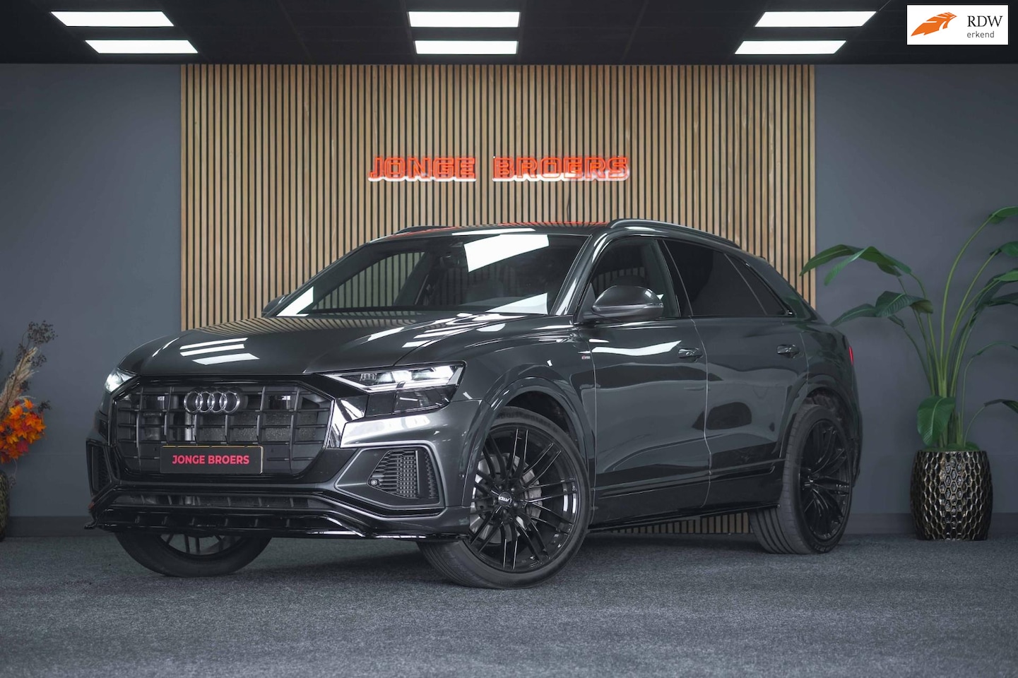 Audi Q8 - 55 TFSI quattro Pro Line Advanced |Pano|Led - AutoWereld.nl