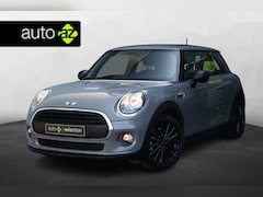 MINI One - 1.5 Salt Business / Stoelverwarming