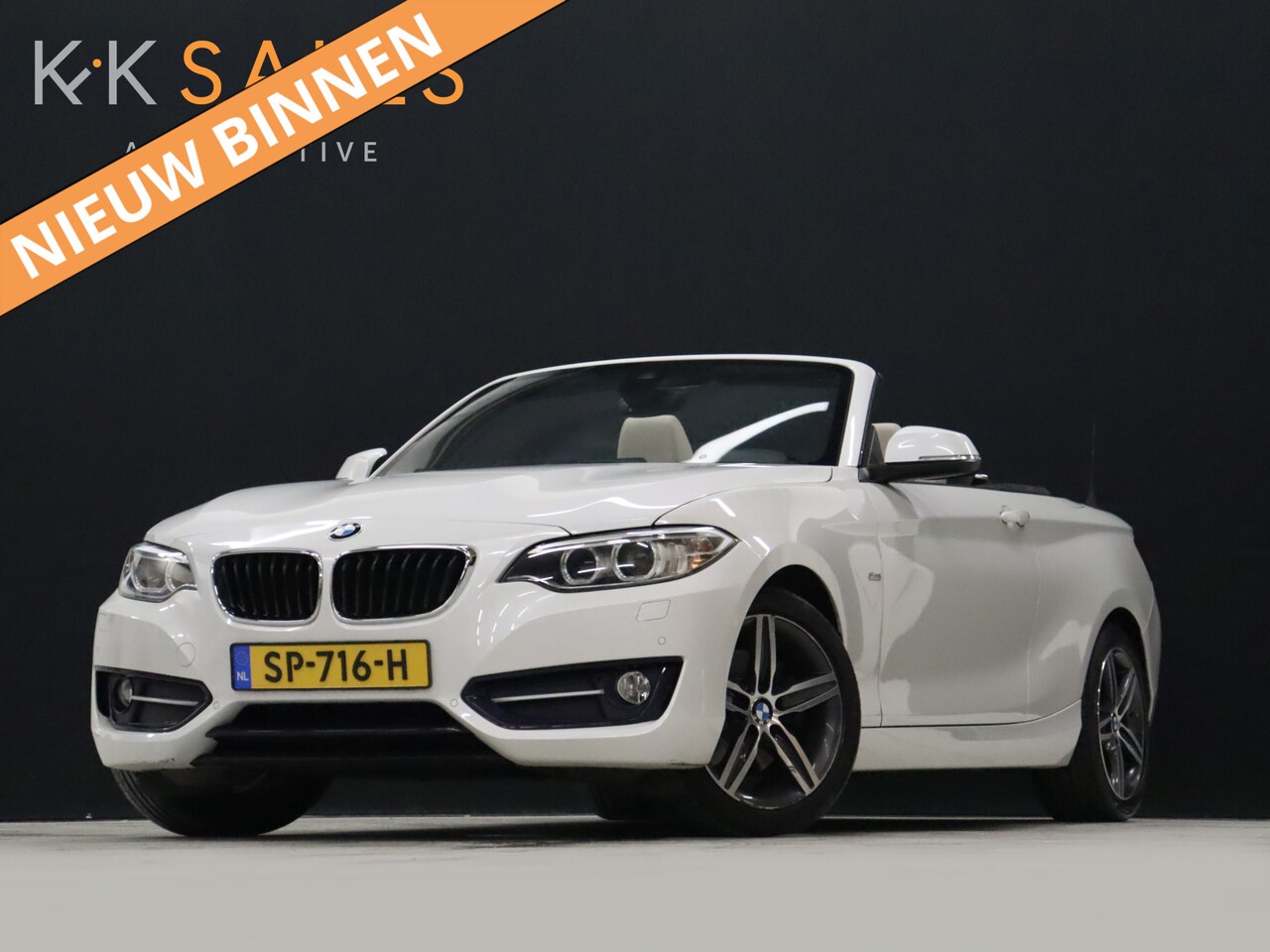 BMW 2-serie Cabrio - 220i High Executive [CAMERA, VOL LEDER, STOELVERWARMING, PDC V+A, BLUETOOTH, CRUISE, CLIMA - AutoWereld.nl