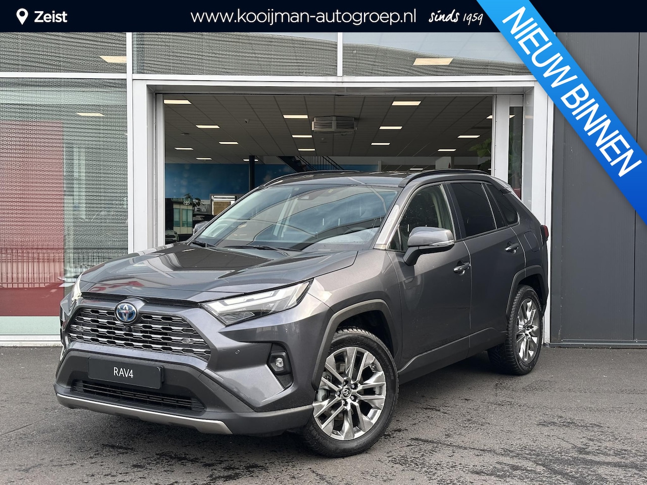 Toyota RAV4 - 2.5 Hybrid AWD Executive Blind Spot | 19 inch LM velgen | 360 graden camera | lederen bekl - AutoWereld.nl