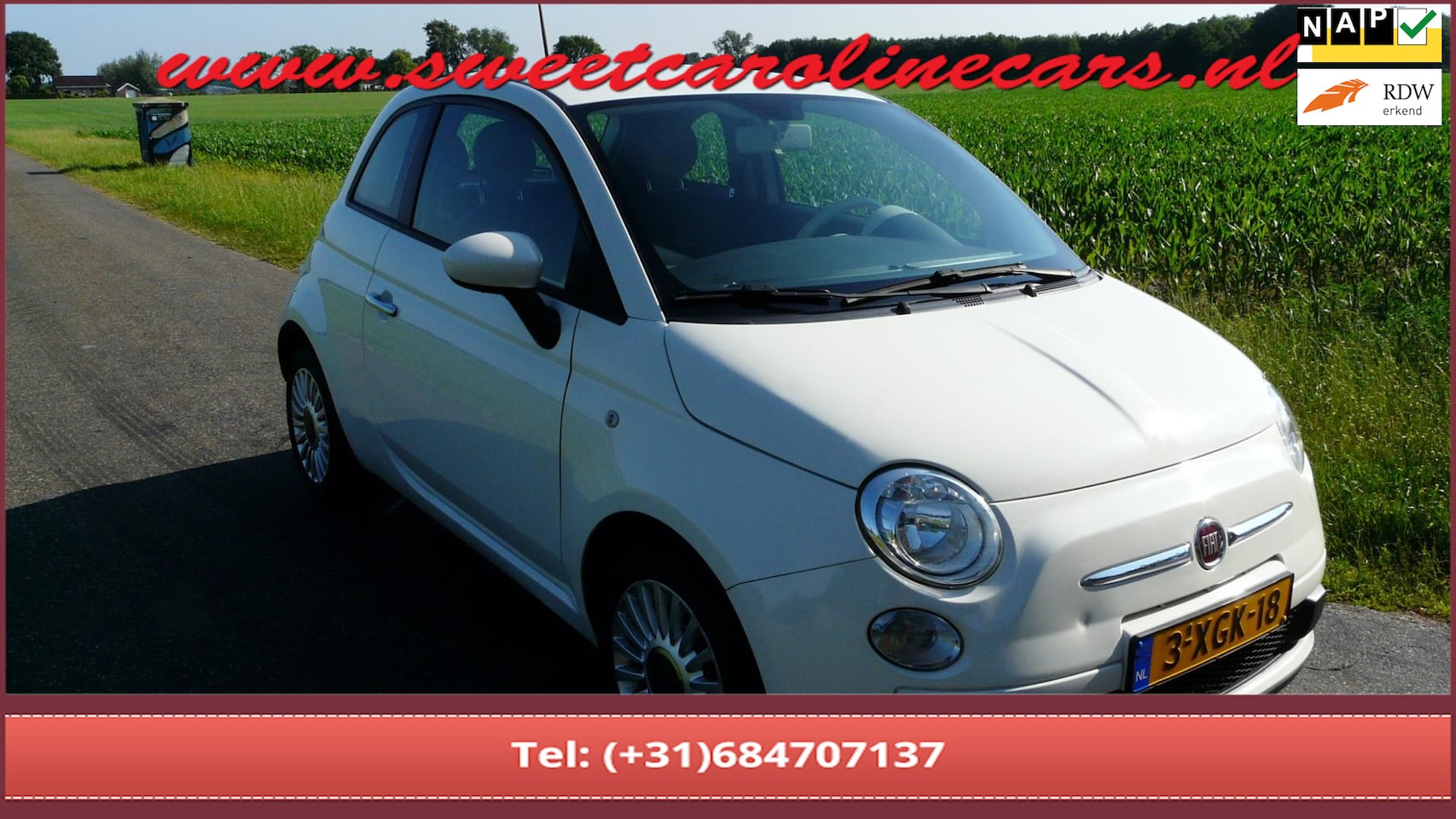Fiat 500 - 1.0 TwinAir Pop 1.0 TwinAir Pop,Airco,Lmv's! - AutoWereld.nl
