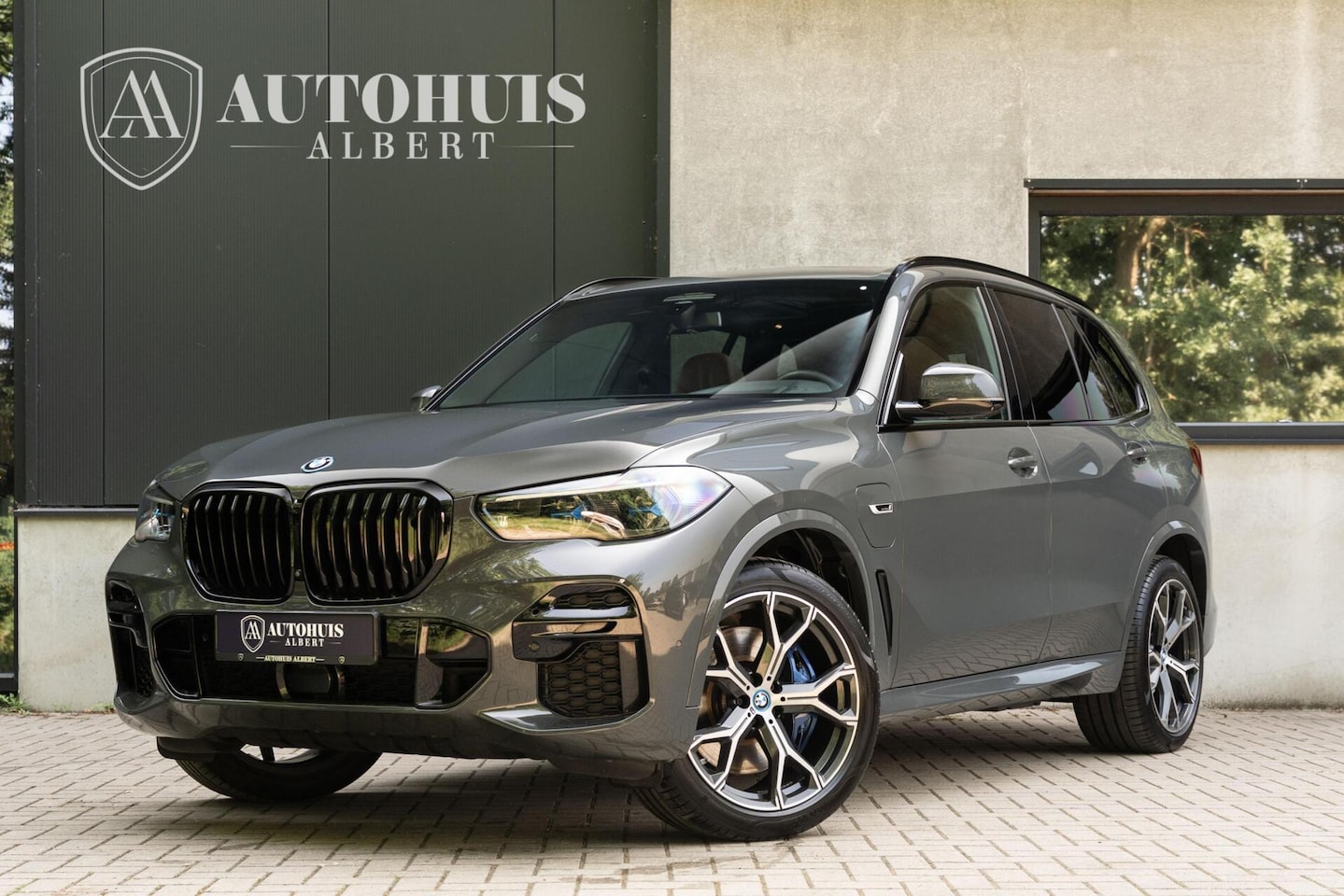 BMW X5 - xDrive45e M-Sport Dravitgrau B&W Carbon Night Vision - AutoWereld.nl