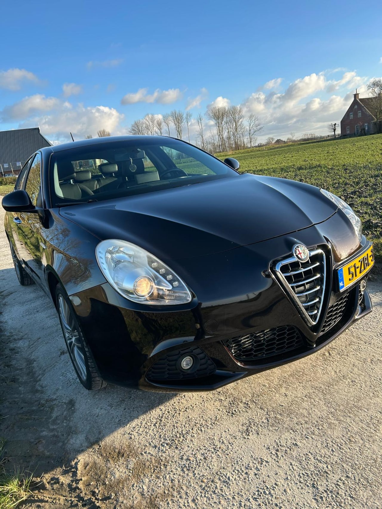 Alfa Romeo Giulietta - 1.4 T M-Air Distinctive DNA systeem van Alfa Romeo - AutoWereld.nl