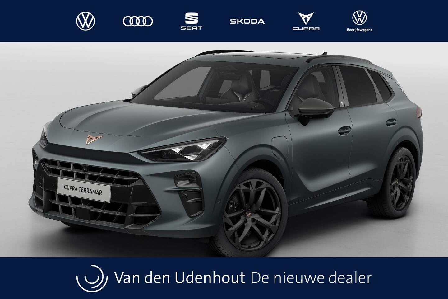 CUPRA Terramar - 1.5 TSI e-Hybrid 272 6DSG VZ America's CUP | 360 graden camera | Achteruitrijcamera | Draa - AutoWereld.nl