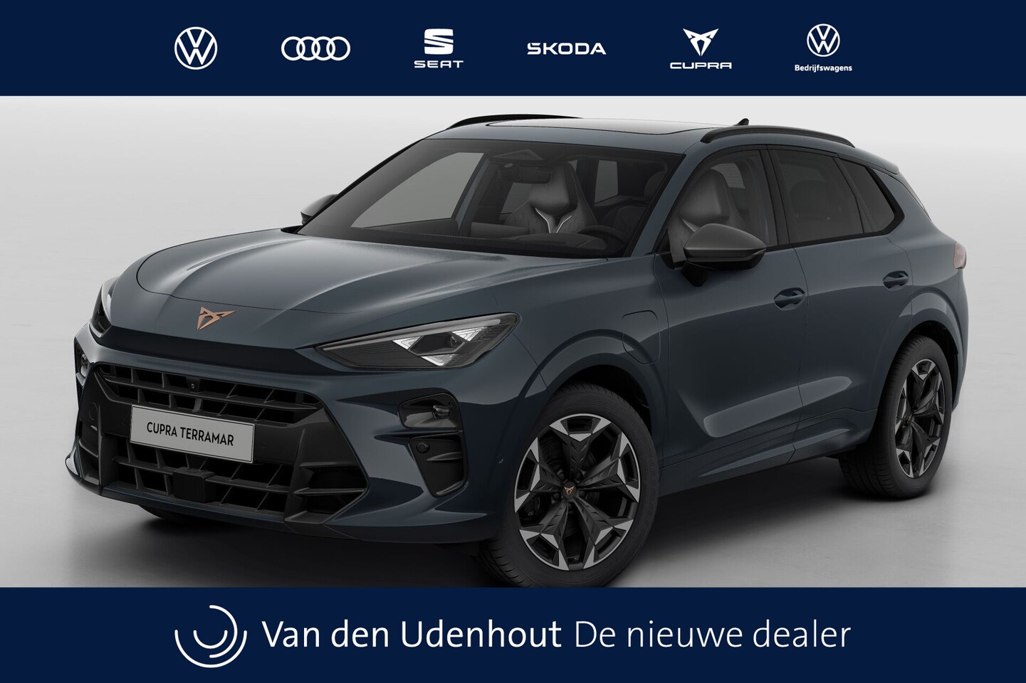 CUPRA Terramar - 1.5 TSI e-Hybrid 272 6DSG VZ Performance | 360 graden camera | Achteruitrijcamera | Draadl - AutoWereld.nl