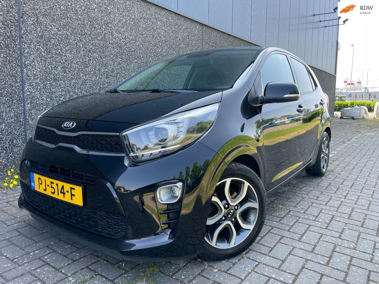 Kia Picanto - 1.0 CVVT First Edition/Dealer onderhouden/Full options! - AutoWereld.nl