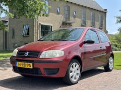 Fiat Punto - 1.2 Young apk 03-2026 * incl garantie