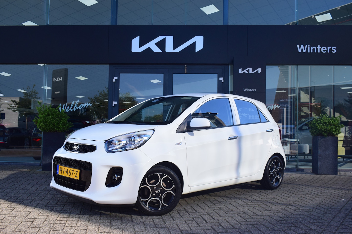 Kia Picanto - 1.0 CVVT DynamicLine | Cruise Control | Bluetooth | Climate Control | Lichtmetalen velgen - AutoWereld.nl