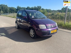 Fiat Panda - 1.2 Edizione Cool [Leuke Panda][LM Velgen][Airco]