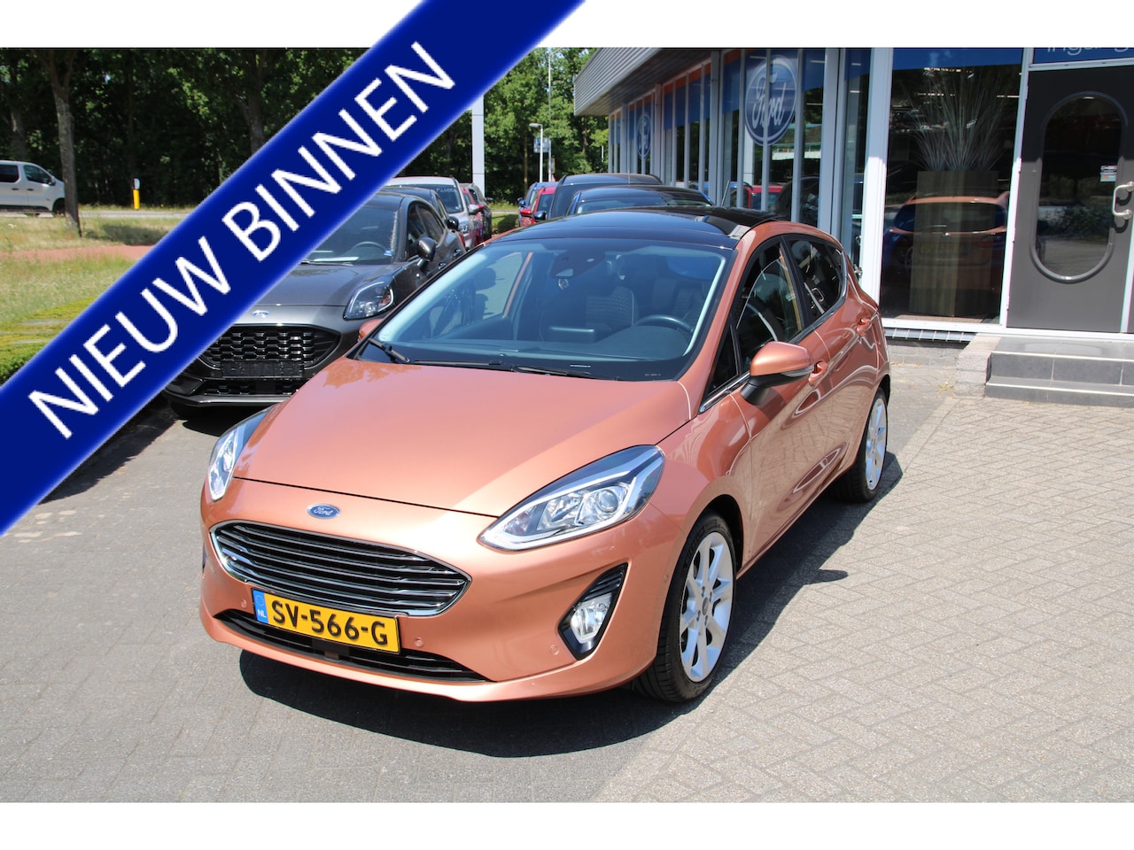 Ford Fiesta - 1.0 EcoBoost 125 PK Vignale TREKHAAK| PANORAMADAK | WINTER PACK | CAMERA - AutoWereld.nl
