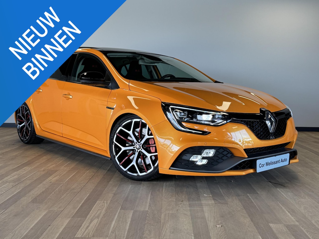 Renault Mégane - 1.8 TCe 300 RS Trophy PANO | BOSE | RSC - AutoWereld.nl