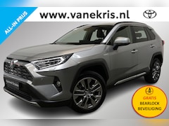Toyota RAV4 - 2.5 Hybrid Executive Limited, Premium Pack, Licht grijs leder