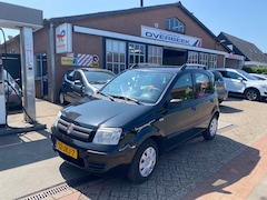 Fiat Panda - 1.2 Edizione Cool