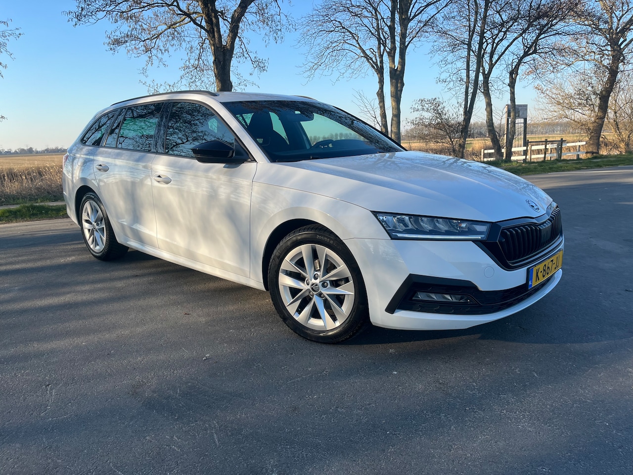 Skoda Octavia Combi - 1.0 e-TSI Sport Business - AutoWereld.nl
