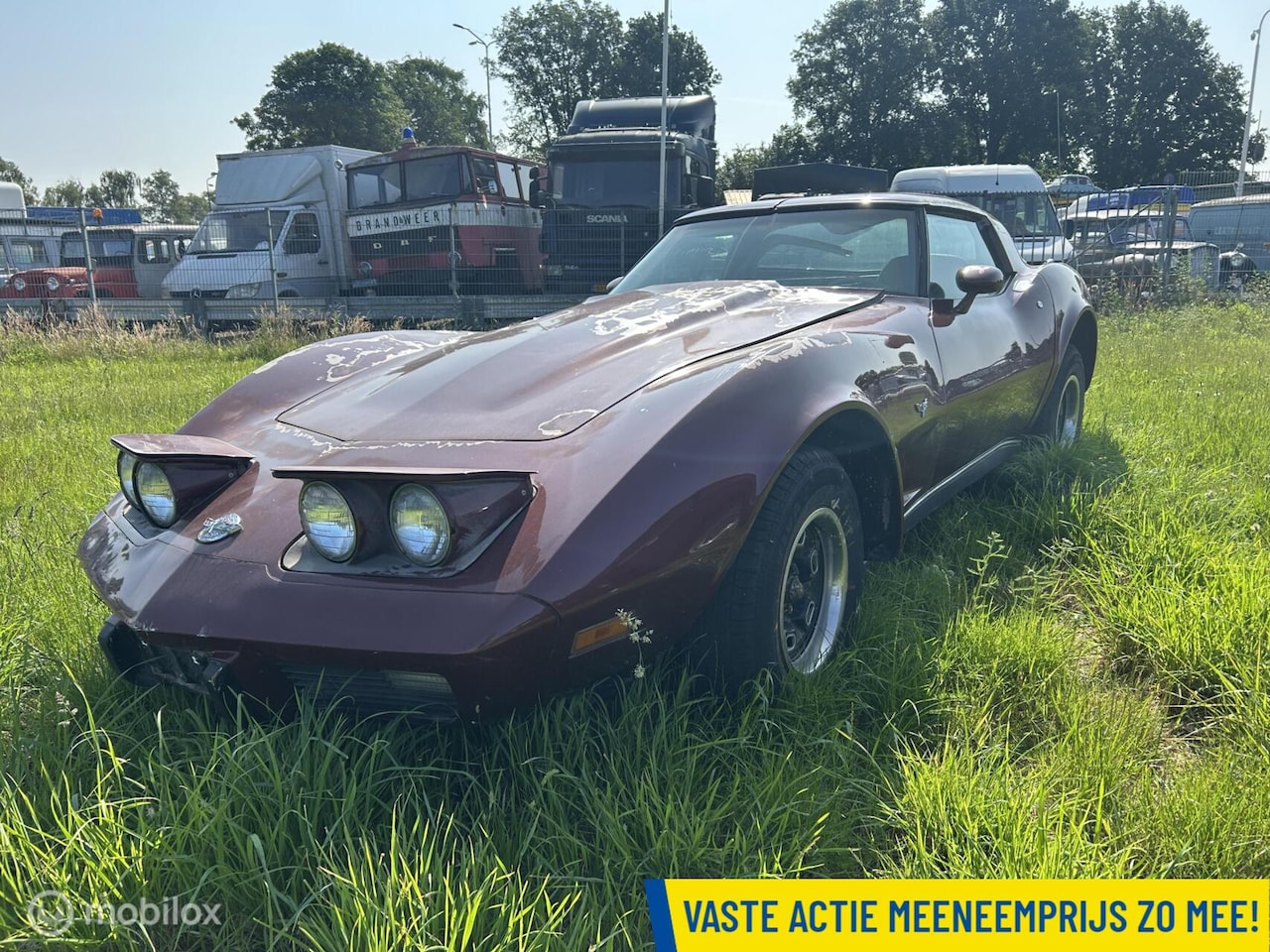 Chevrolet Corvette - Targa 1YZ37 - AutoWereld.nl