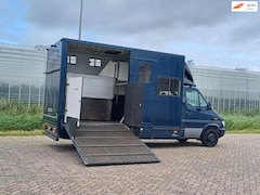 Mercedes-Benz Sprinter - Automaat 412 Paardenwagen