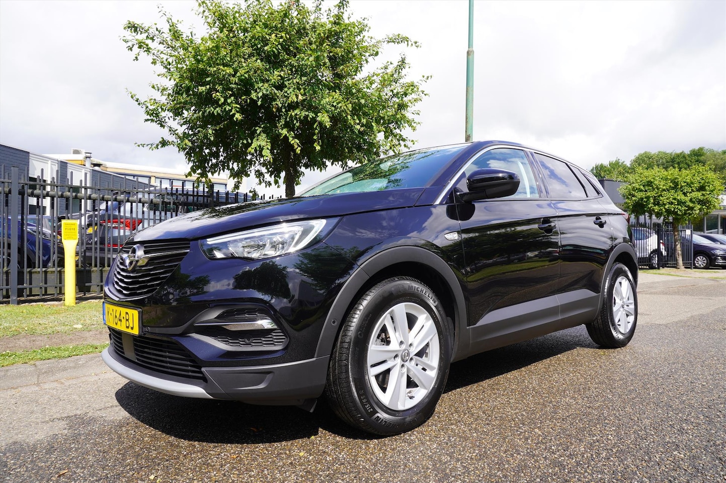 Opel Grandland X - 1.2 Turbo 130pk S&S Business Executive Navigatie - AutoWereld.nl