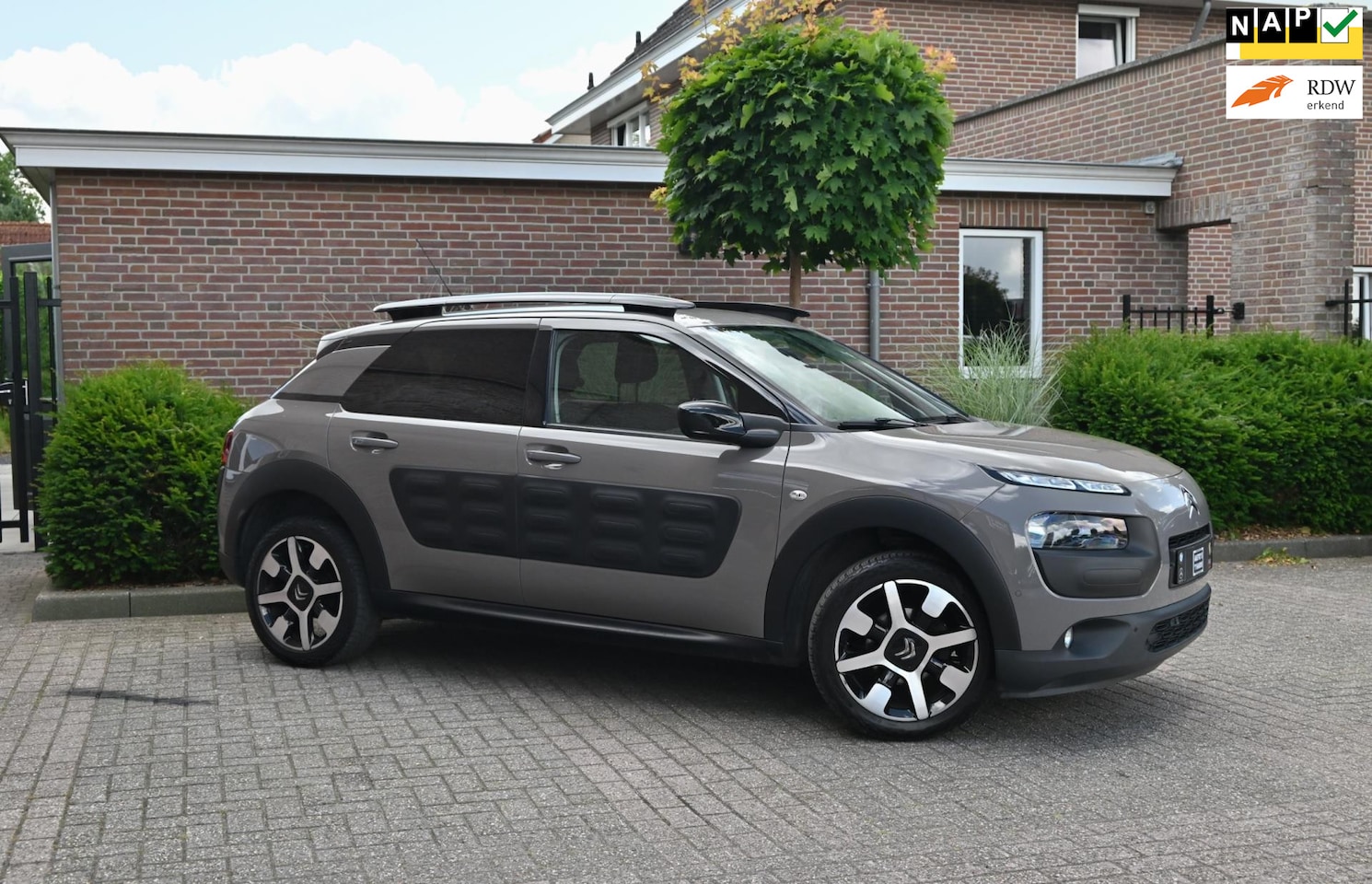 Citroën C4 Cactus - 1.2 PureTech Shine Half/Leer Camera Clima Stoelverwarming 17'' - AutoWereld.nl