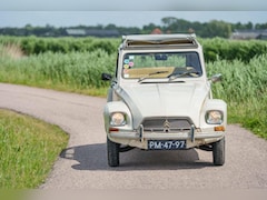 Citroën Dyane - 6