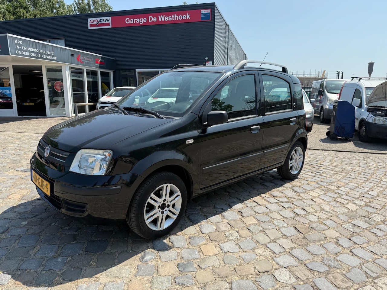 Fiat Panda - 1.2 Young 1.2 Young - AutoWereld.nl
