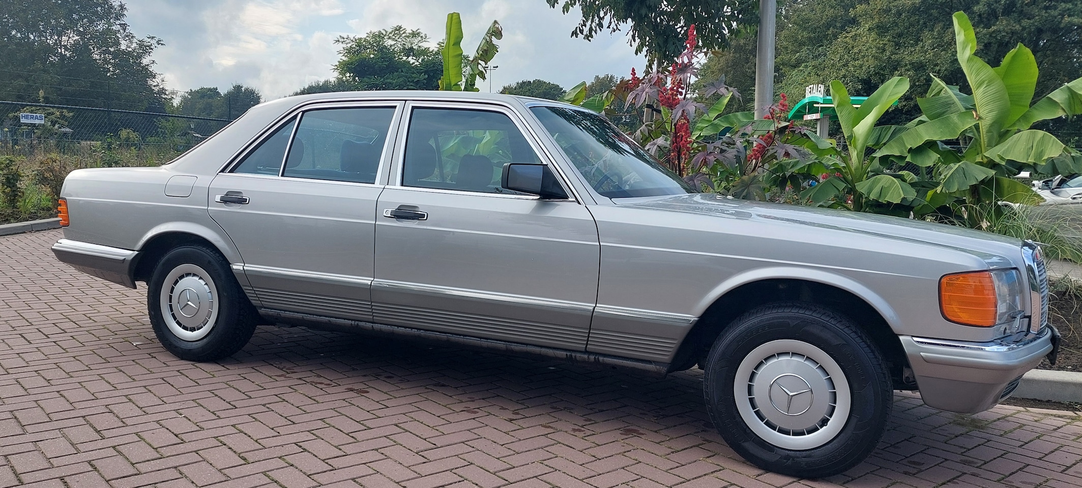 Mercedes-Benz S-klasse - 380 SE - AutoWereld.nl