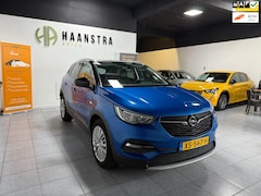 Opel Grandland X - 1.2 Turbo Business Executive Leder Navi-Camera Apple-Carplay