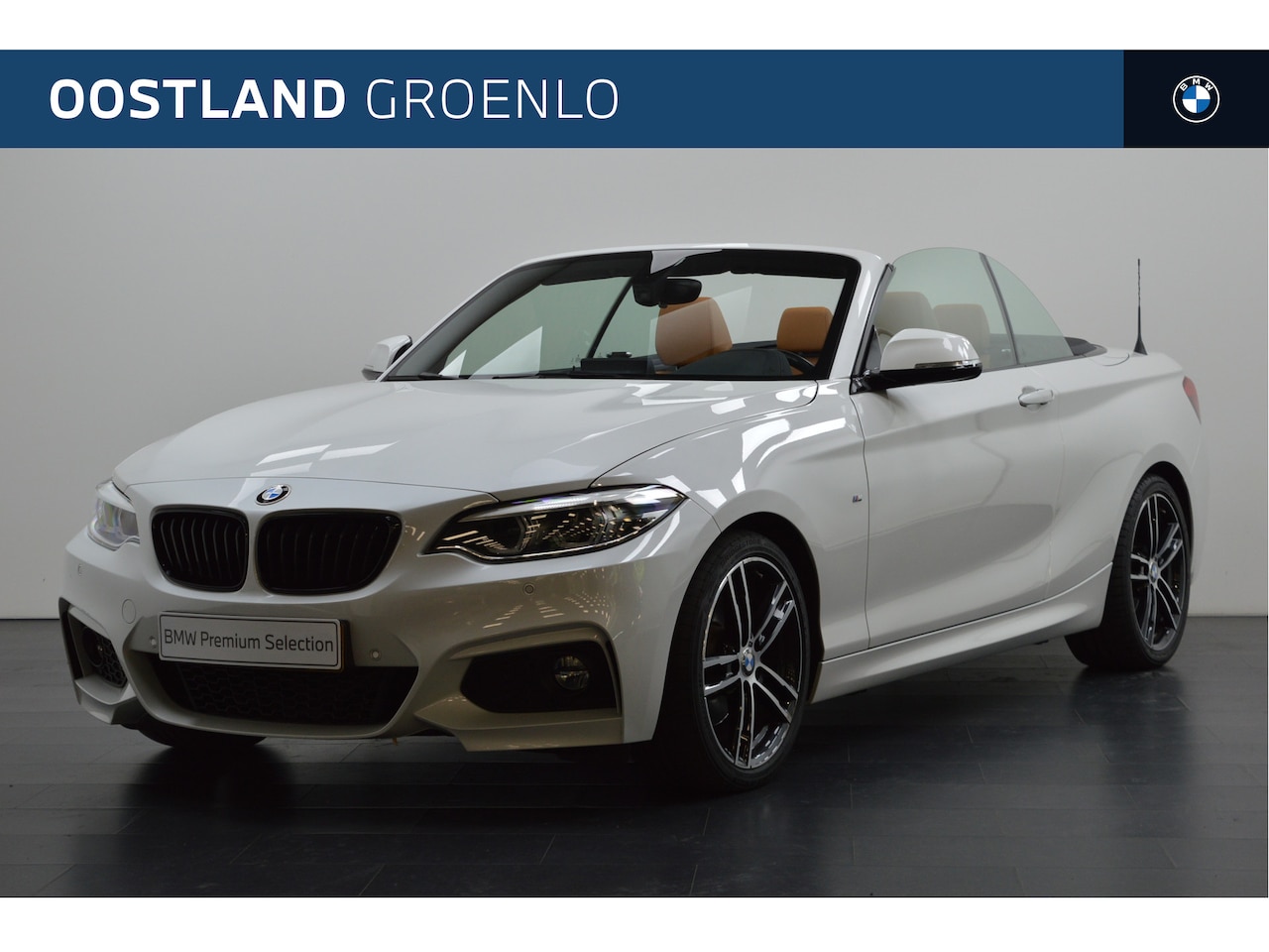 BMW 2-serie Cabrio - 220i High Executive M Sport Automaat / Sportstoelen / M Sportonderstel / Stoelverwarming / - AutoWereld.nl