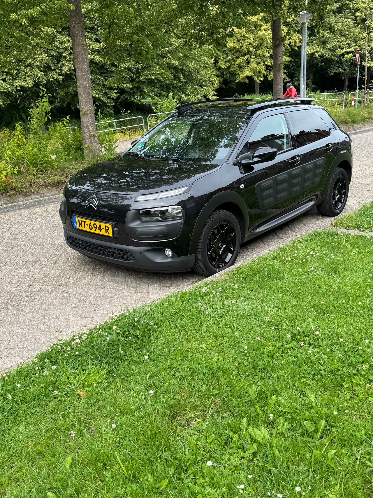 Citroën C4 Cactus - 1.2 PureTech Business Plus - AutoWereld.nl