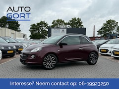 Opel ADAM - 1.4 Glam | Clima | Panodak | Cruise control | Stoelverw. |