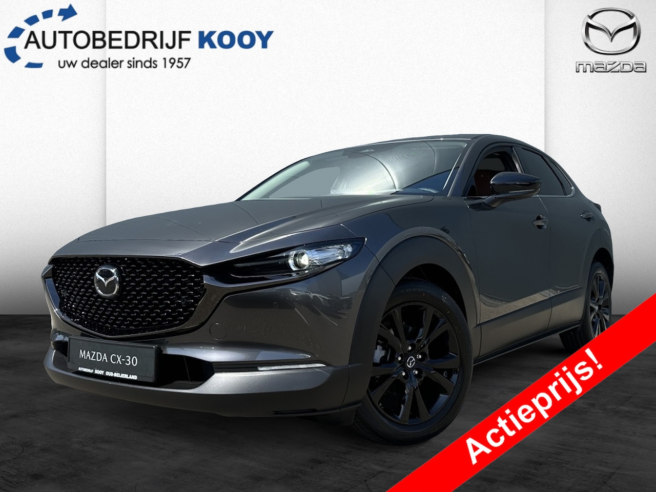 Mazda CX-30 - 2.5 140pk Nagisa / Automaat - AutoWereld.nl