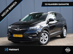 Opel Grandland X - Business + 1.2 Turbo 130pk DAB | PDC + CAM. | 17''LM | CRUISE.C | APPLE-CARPLAY | NAVI | C