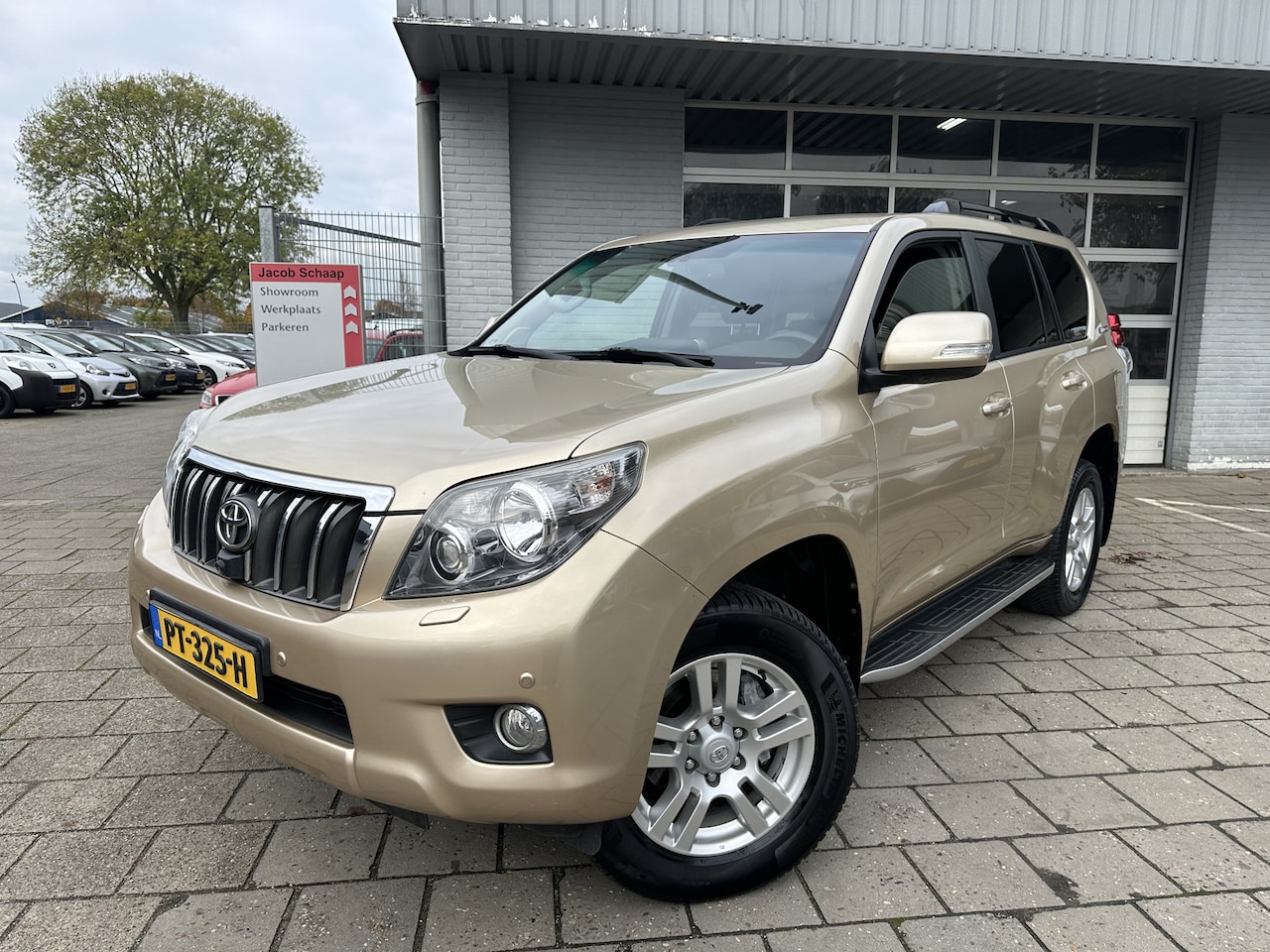 Toyota Land Cruiser - 3.0 D-4D-F Executive Aut., 7 Persoons, Leder - AutoWereld.nl
