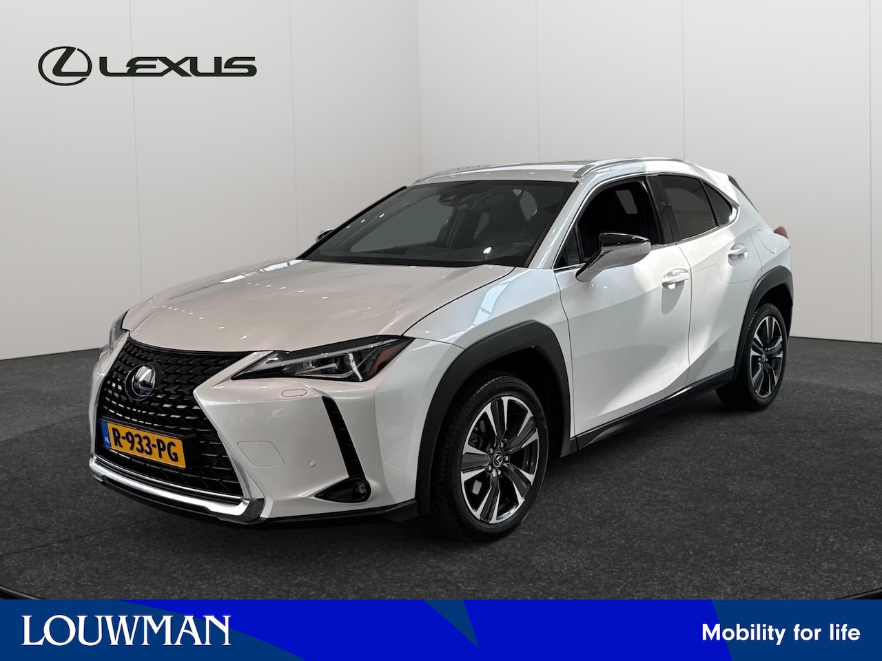 Lexus UX - 250h Business Line | lage km stand | Apple carplay-Android Auto | stoel- en stuurverwarmin - AutoWereld.nl