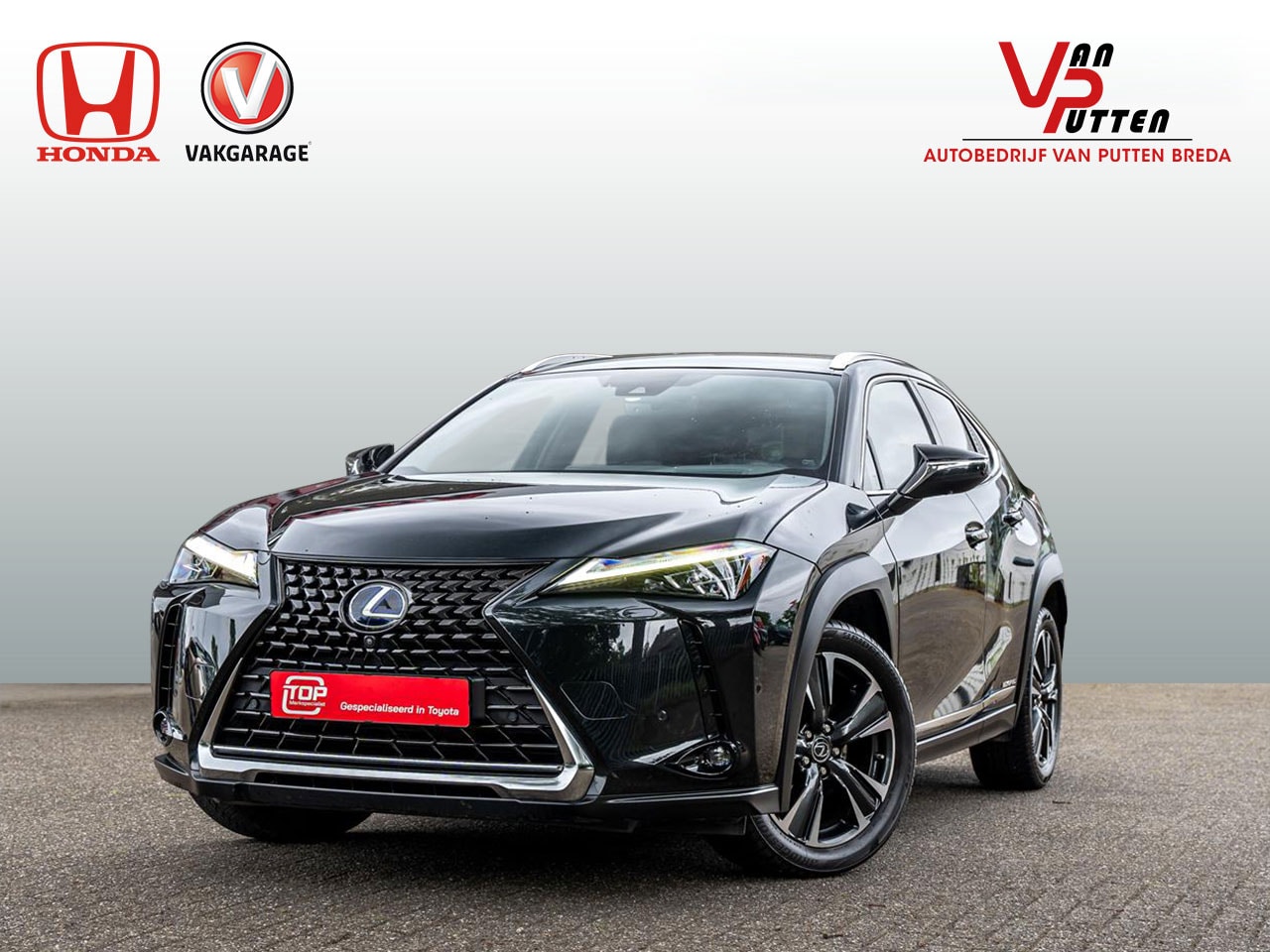 Lexus UX - 250h Hybrid 184pk Automaat | Executive Line | Lederen bekleding | Headup Display | 360 Cam - AutoWereld.nl