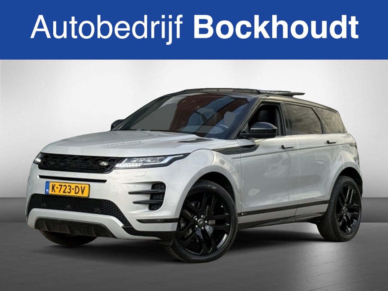Land Rover Range Rover Evoque - 2.0 D180 AWD RDyn SE | Pano | Leer | Camera - AutoWereld.nl