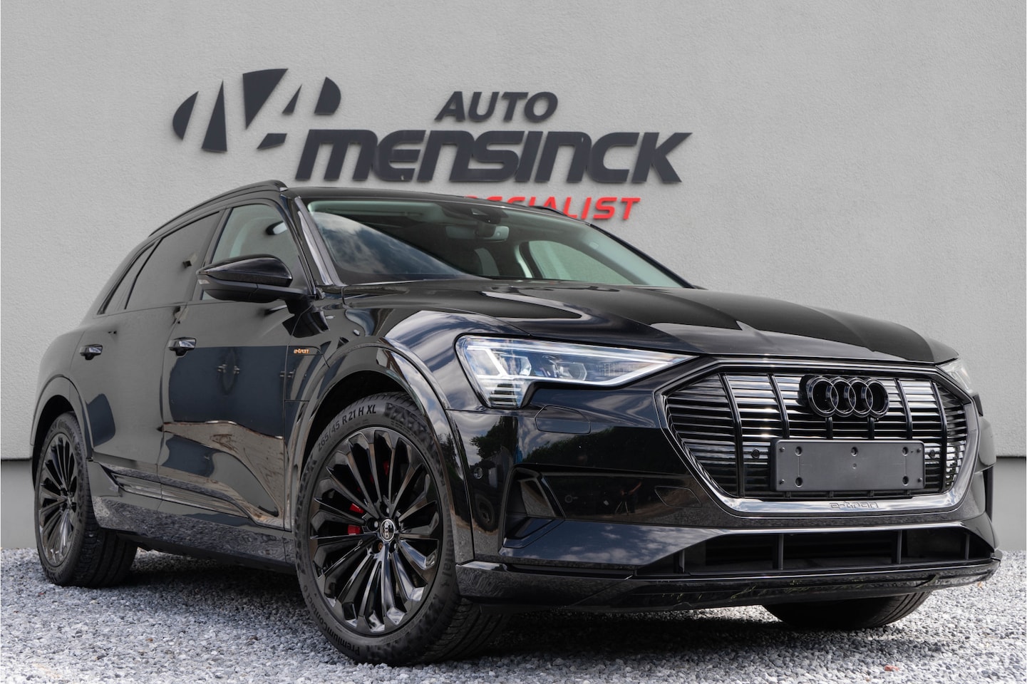 Audi e-tron - 50 Quattro / Standkachel/ Luchtvering/ Adaptive Cruise Control/ Trekhaak/ Panoramadak/ 230 - AutoWereld.nl